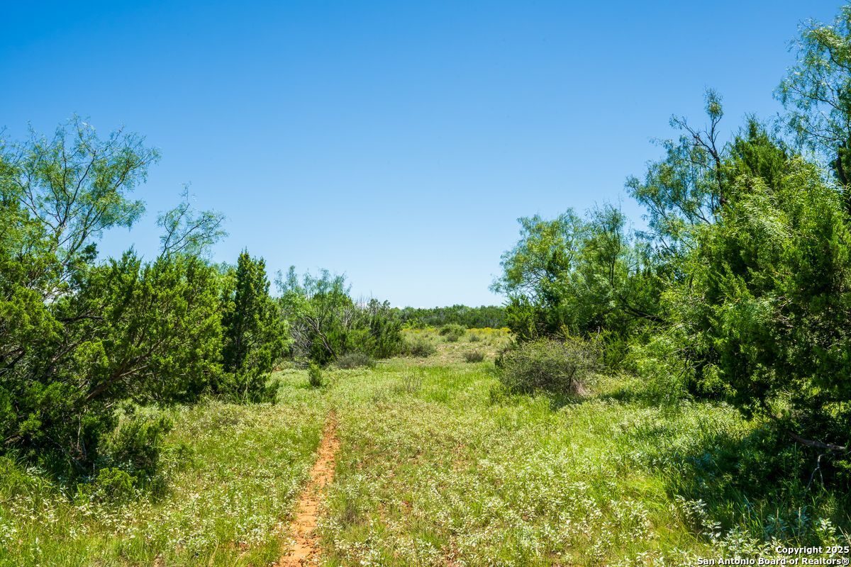 17898 County Road 1105 TX 79546