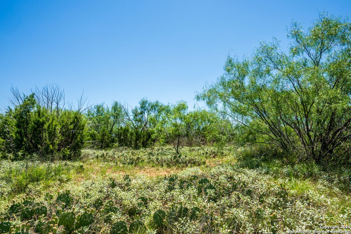 17898 County Road 1105 TX 79546