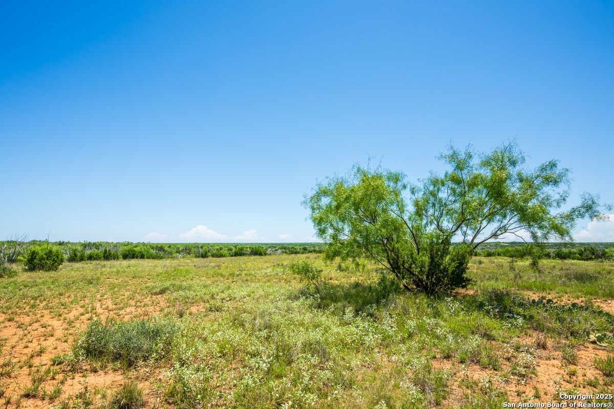 17898 County Road 1105 TX 79546