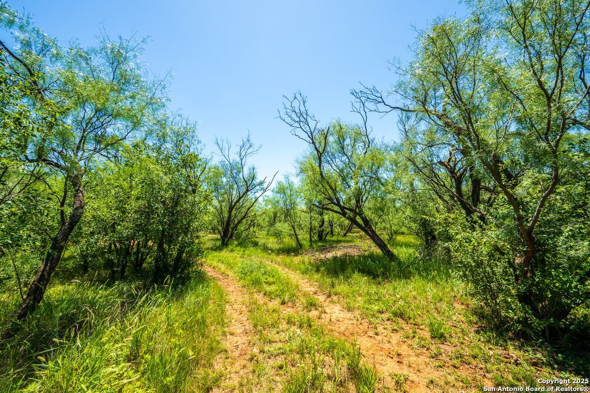 17898 County Road 1105 TX 79546