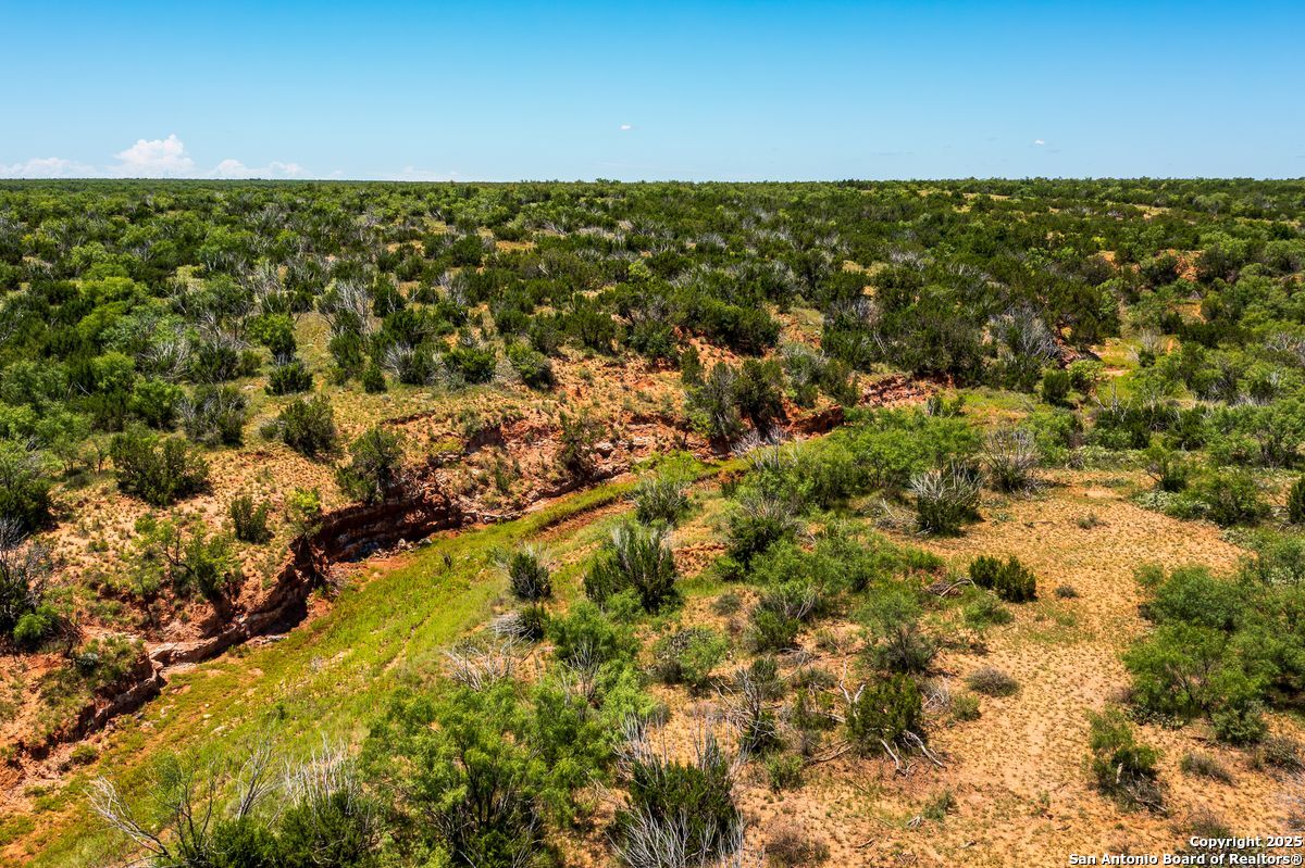 17898 County Road 1105 TX 79546