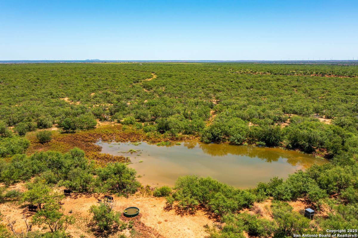17898 County Road 1105 TX 79546