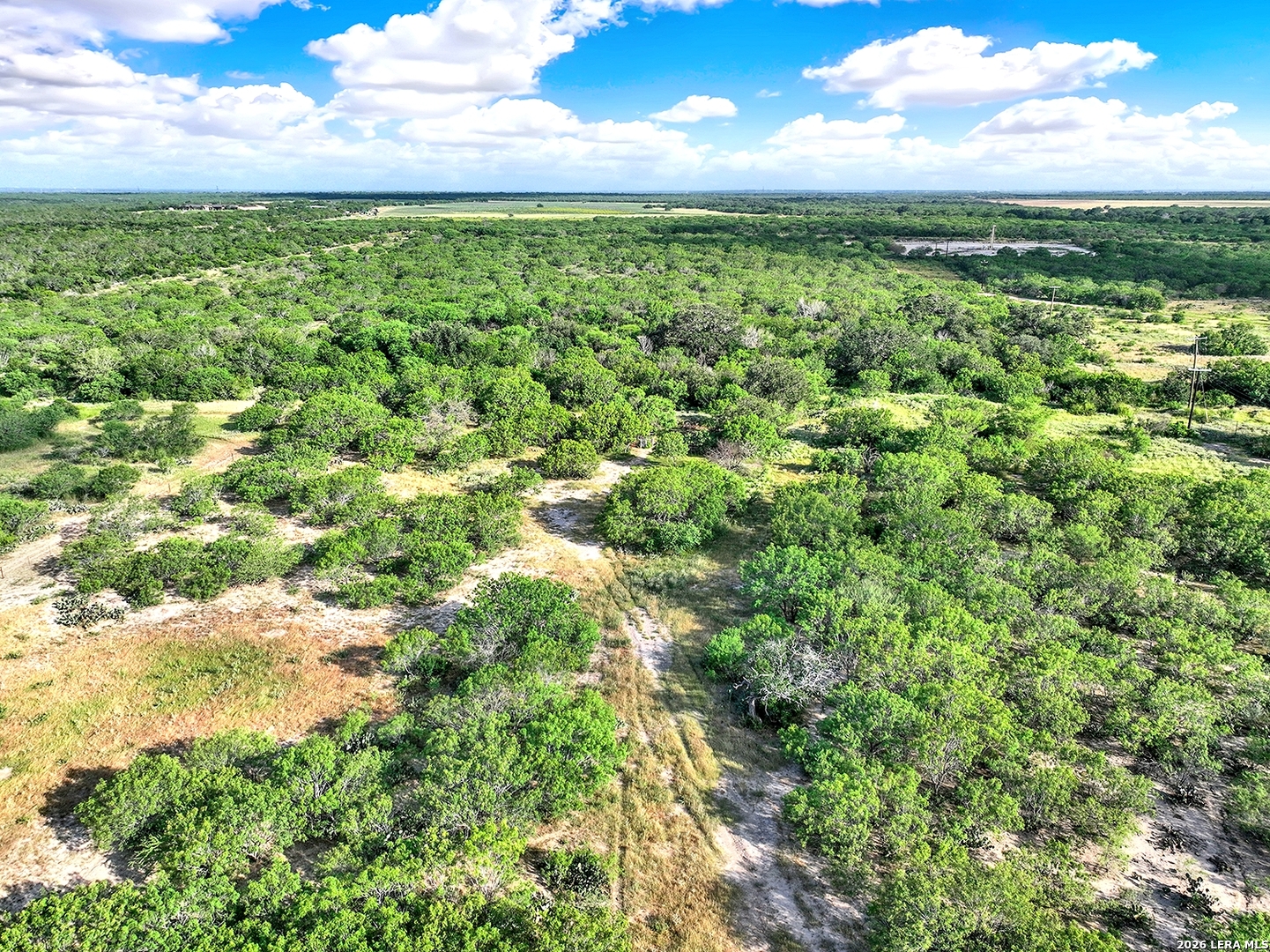 4190 County Road 415 Mccoy TX 78064