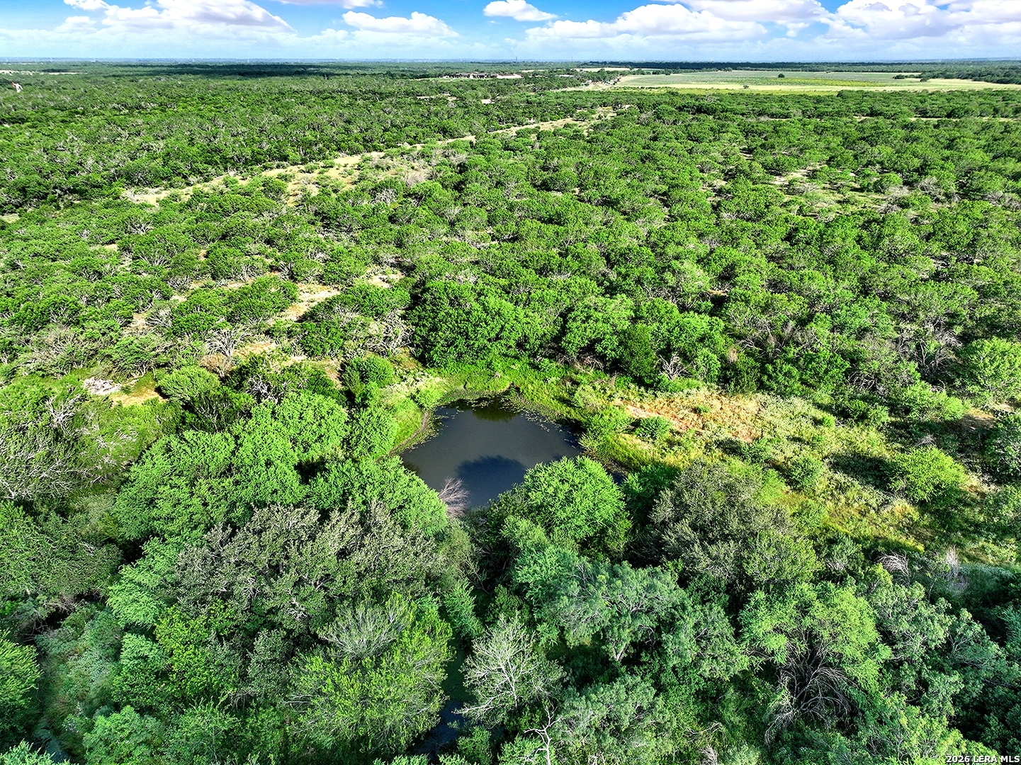4190 County Road 415 Mccoy TX 78064