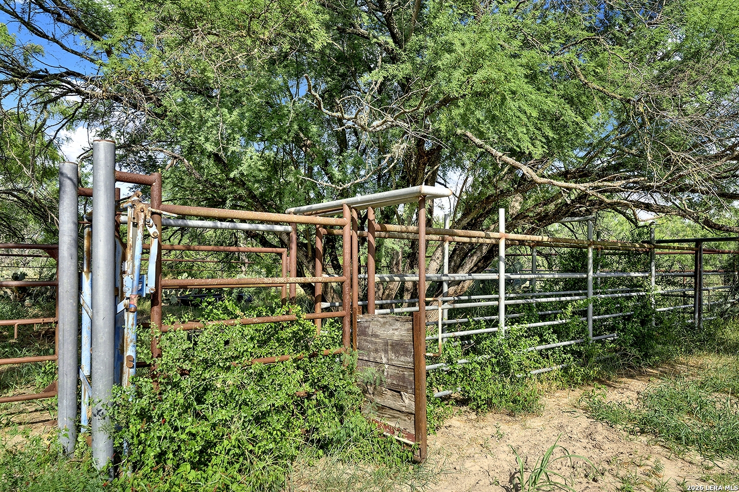 4190 County Road 415 Mccoy TX 78064
