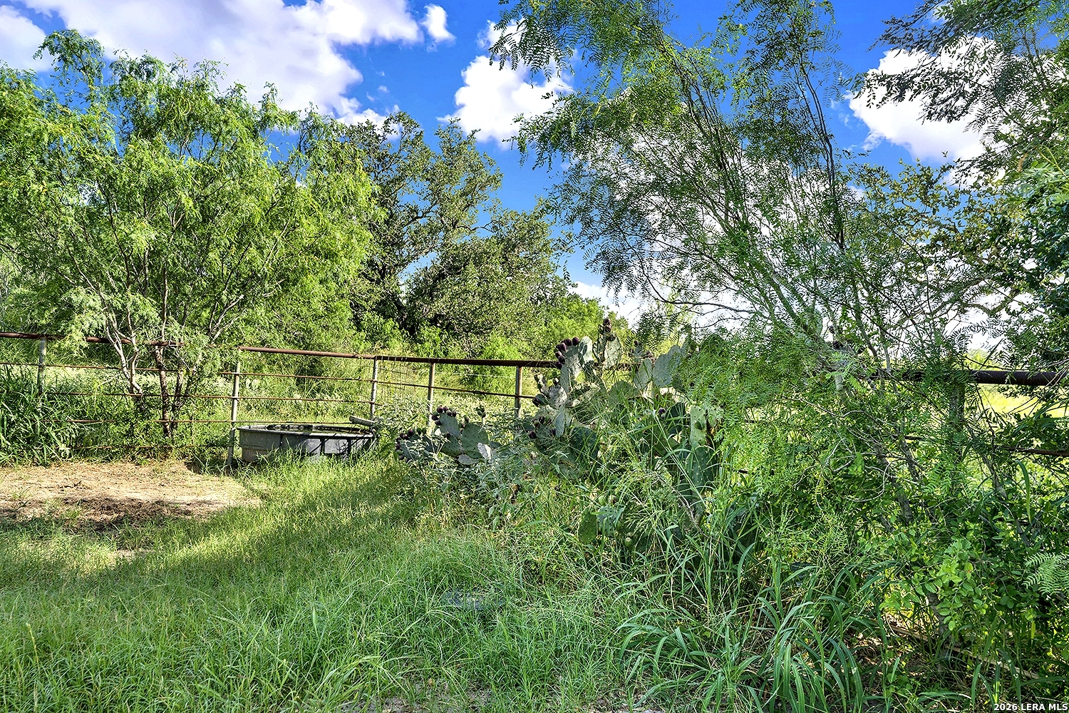 4190 County Road 415 Mccoy TX 78064