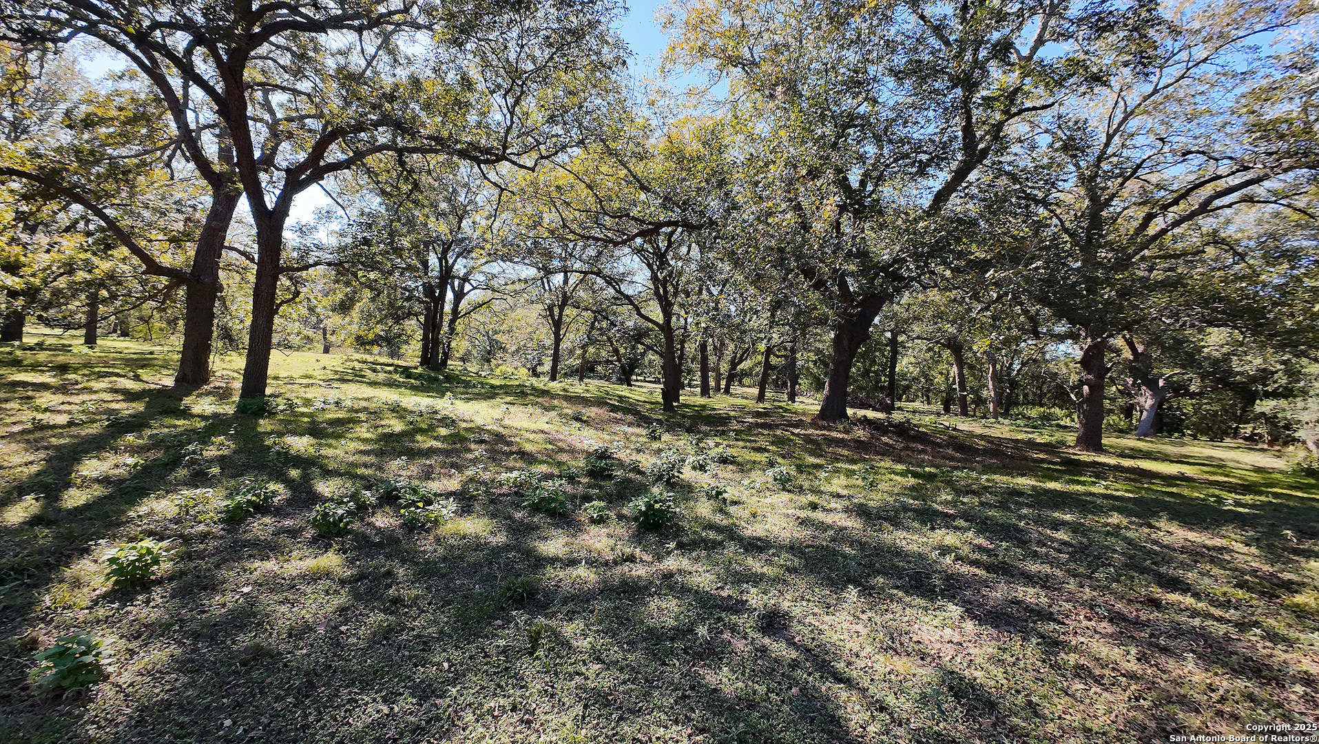 10485 Fm 466 Seguin TX 78155
