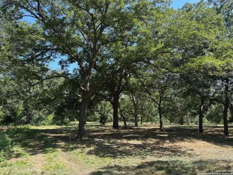 10485 Fm 466 Seguin TX 78155