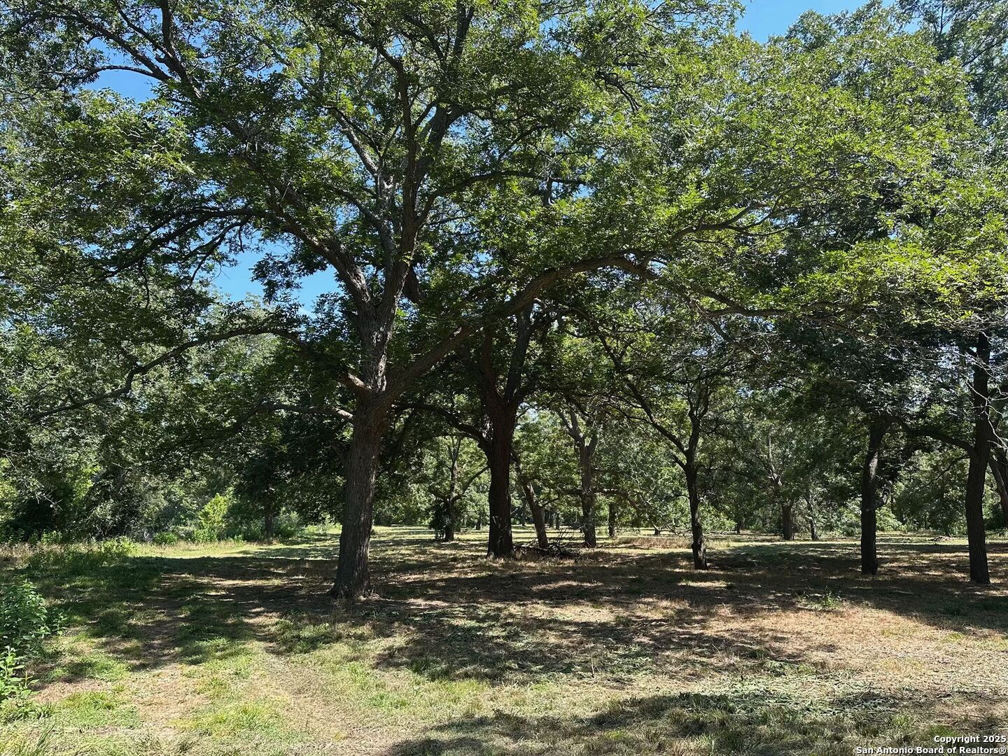 10485 Fm 466 Seguin TX 78155