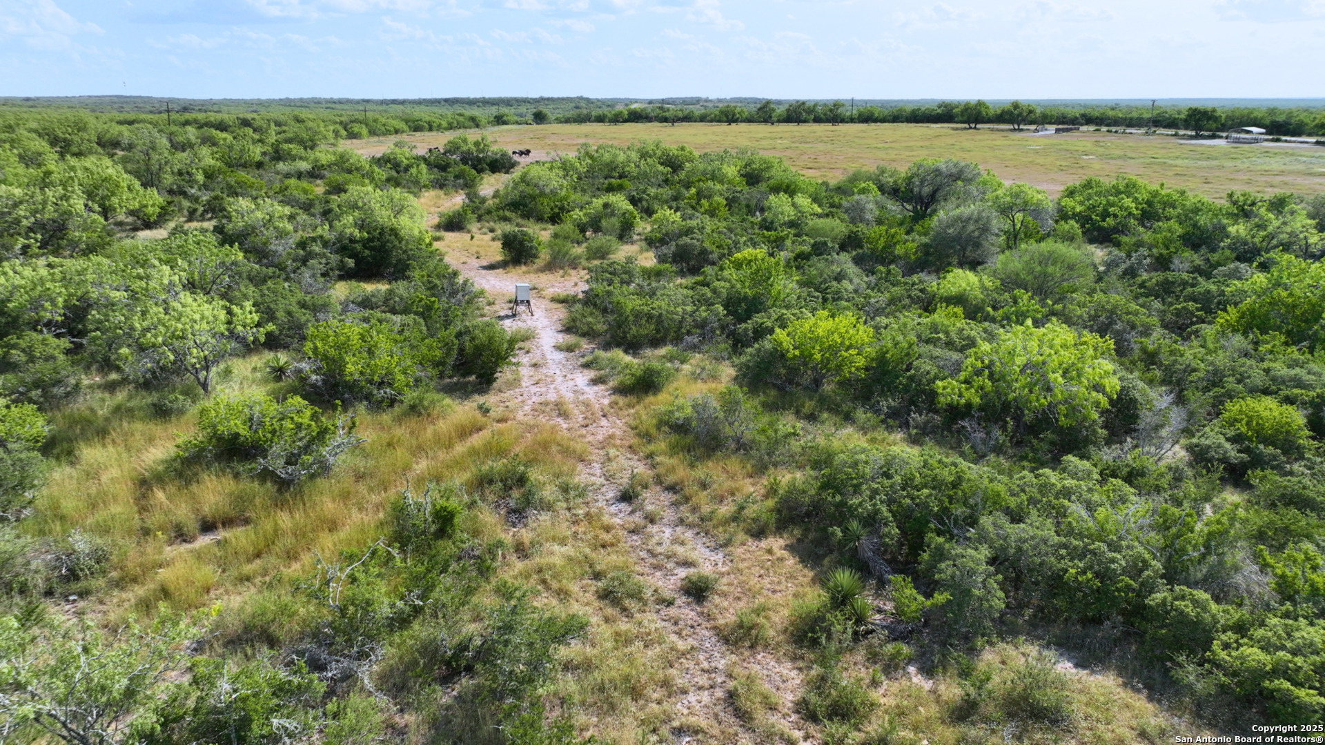 32 Ac Fm 791 Falls City TX 78113