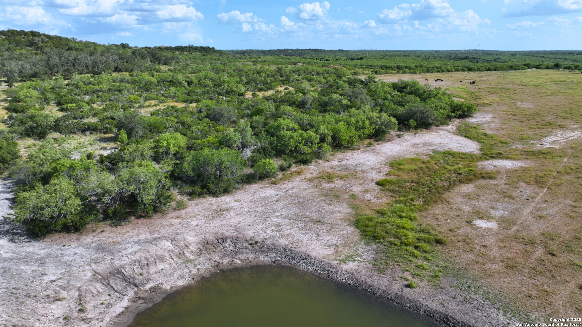 32 Ac Fm 791 Falls City TX 78113