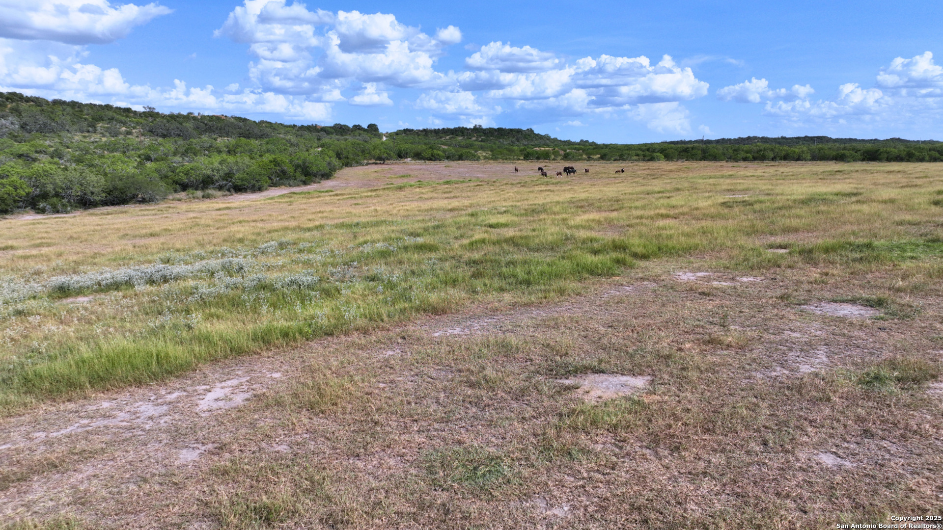 32 Ac Fm 791 Falls City TX 78113