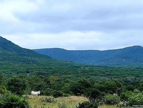 3049 N Little Creek Road Utopia TX 78884