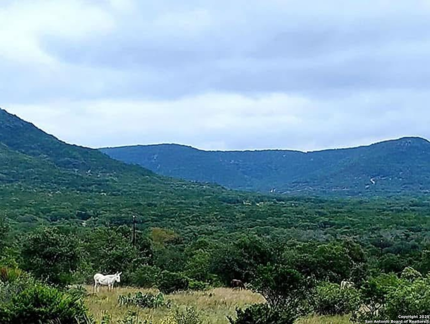 3049 N Little Creek Road Utopia TX 78884