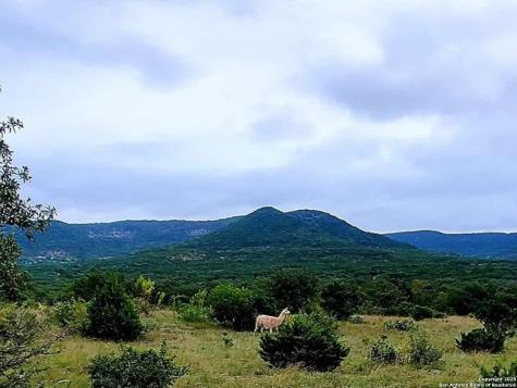 3049 N Little Creek Road Utopia TX 78884