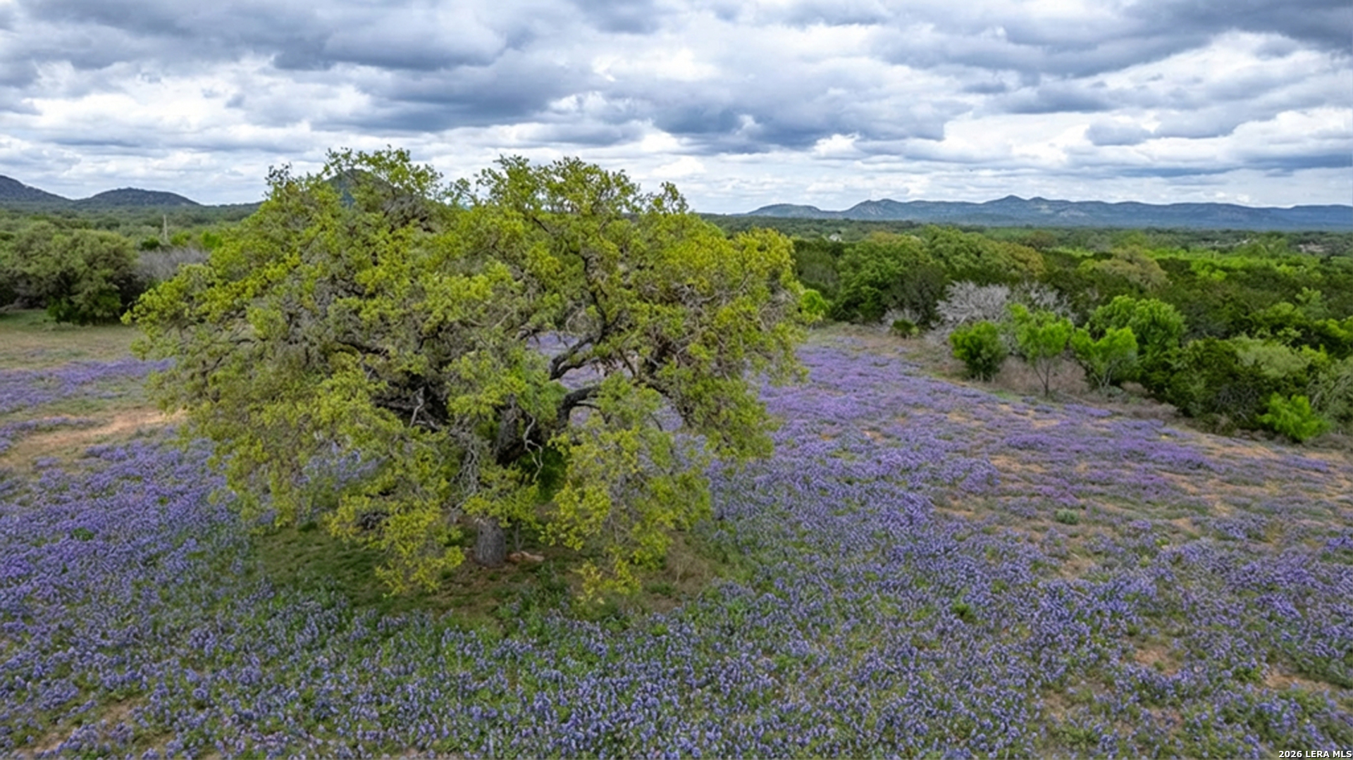 2229 County Road 390 Camp Wood TX 78833