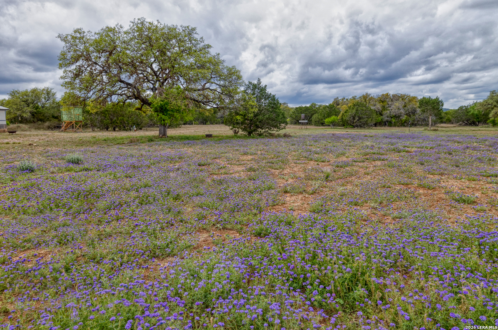 2229 County Road 390 Camp Wood TX 78833