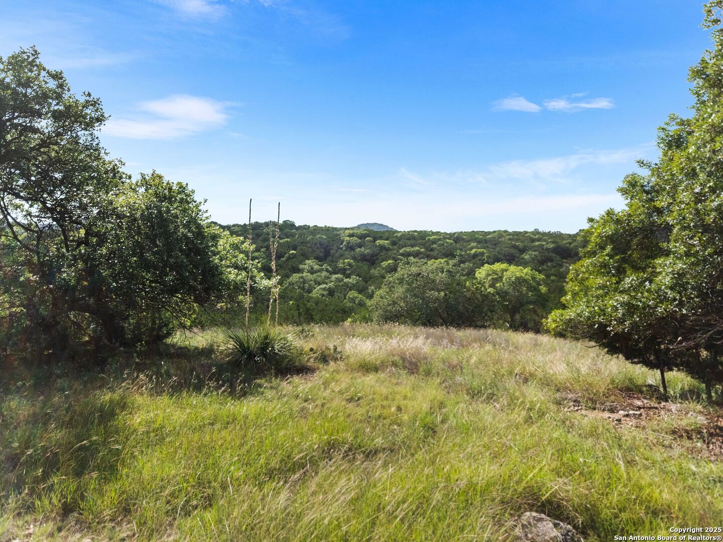 4366 Whartons Dock Bandera TX 78003