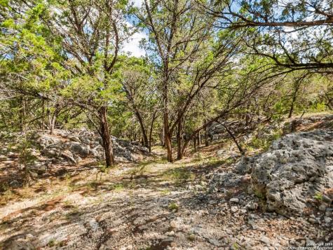 4366 Whartons Dock Bandera TX 78003