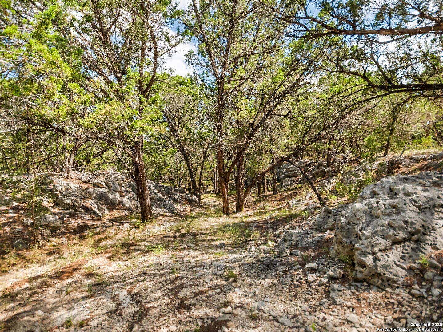 4366 Whartons Dock Bandera TX 78003