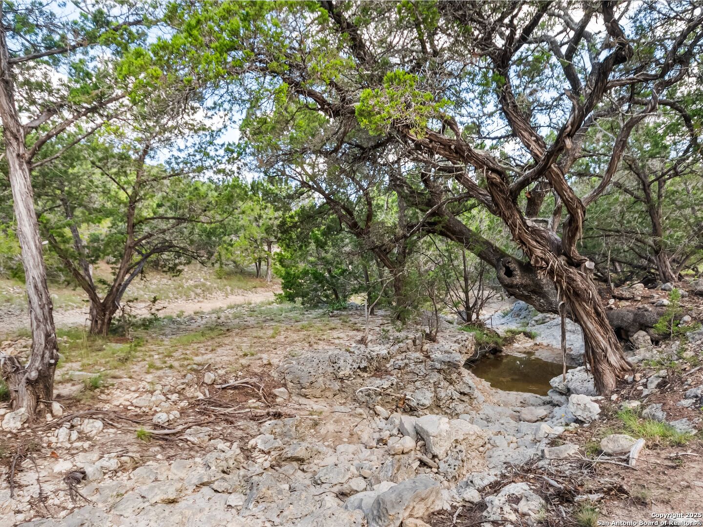 4366 Whartons Dock Bandera TX 78003