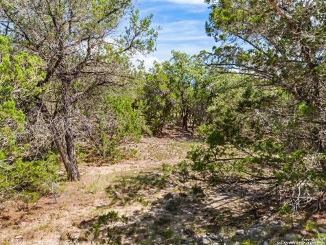 4366 Whartons Dock Bandera TX 78003