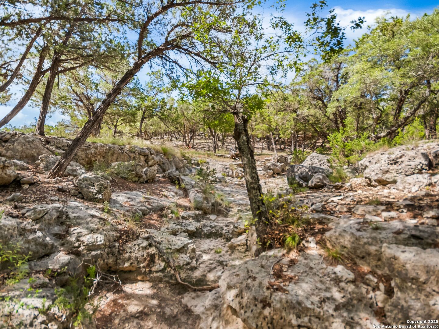 4366 Whartons Dock Bandera TX 78003