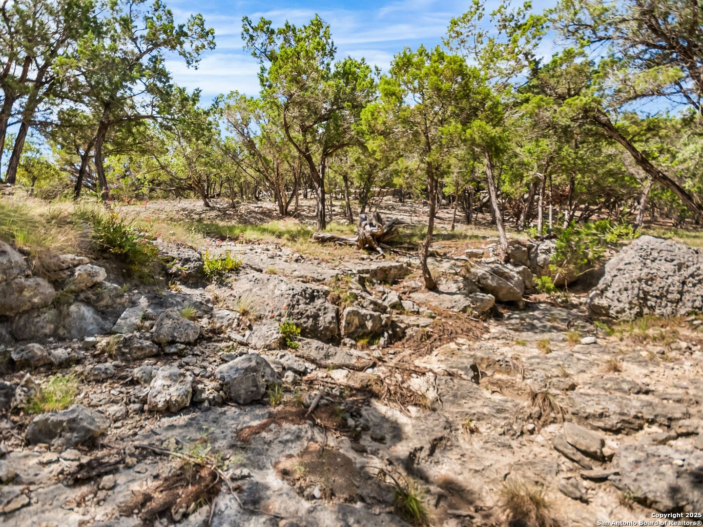 4366 Whartons Dock Bandera TX 78003