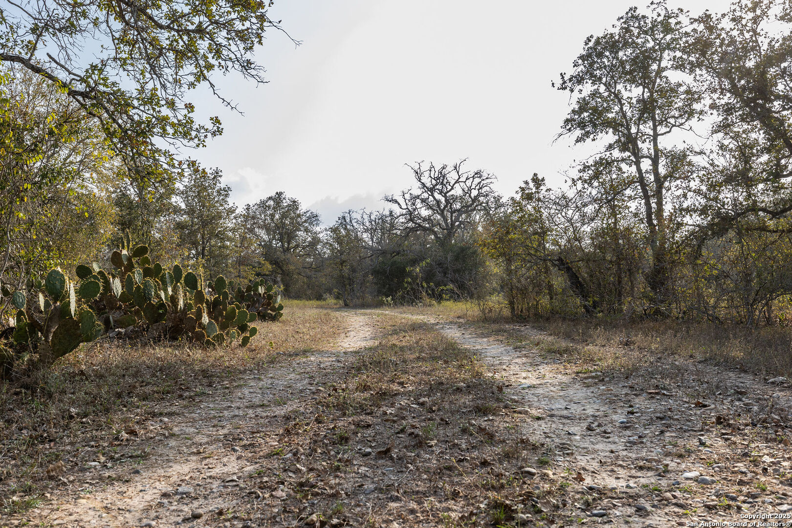 Tbd Cr 345 Gonzales TX 78629