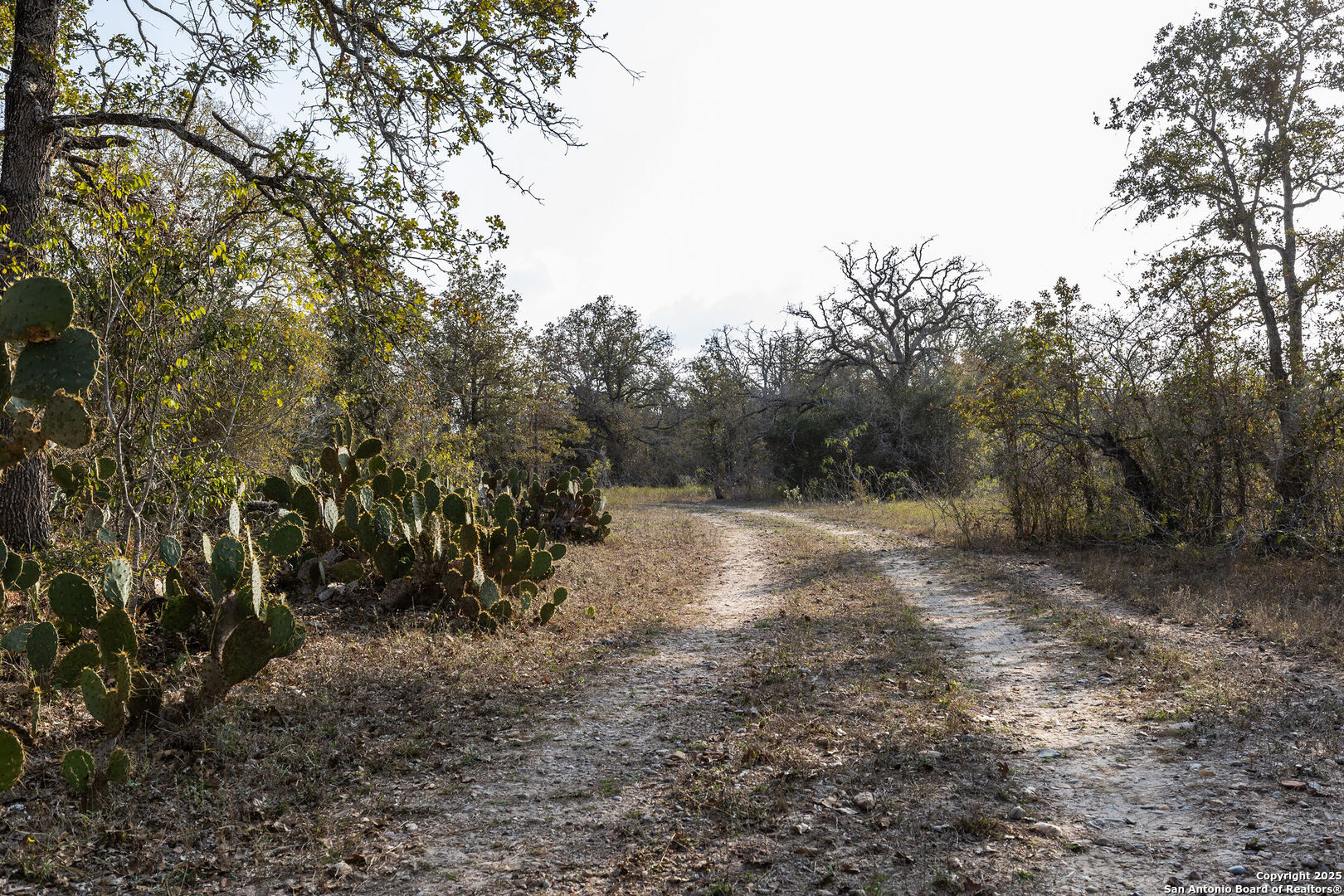 Tbd Cr 345 Gonzales TX 78629
