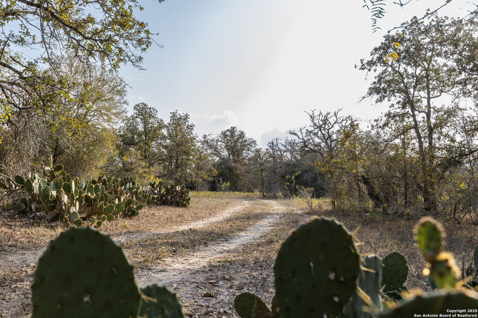 Tbd Cr 345 Gonzales TX 78629