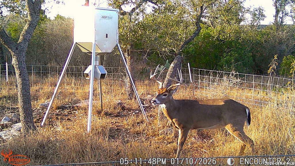 000 Private Road 2410 Hondo TX 78861
