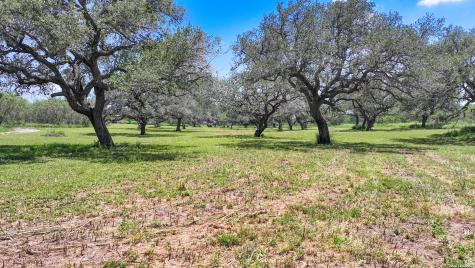 11919 County Road 127 Kenedy TX 78119