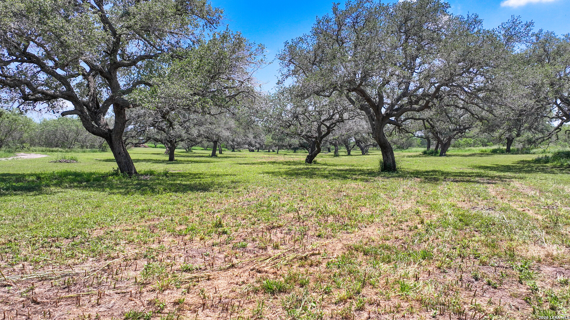 11919 County Road 127 Kenedy TX 78119