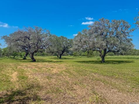 11919 County Road 127 Kenedy TX 78119