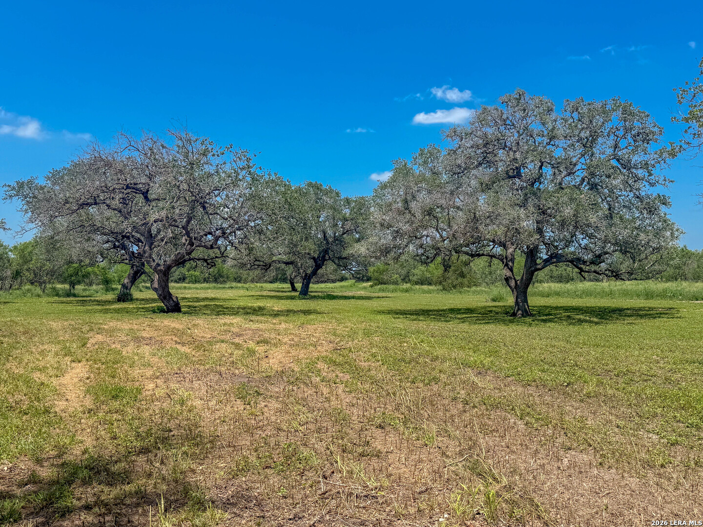 11919 County Road 127 Kenedy TX 78119
