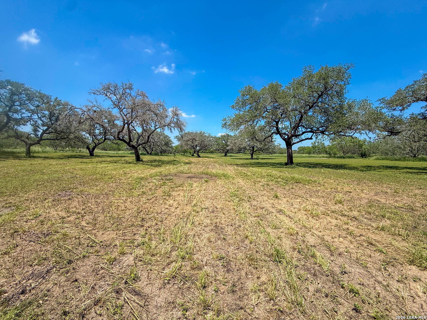 11919 County Road 127 Kenedy TX 78119