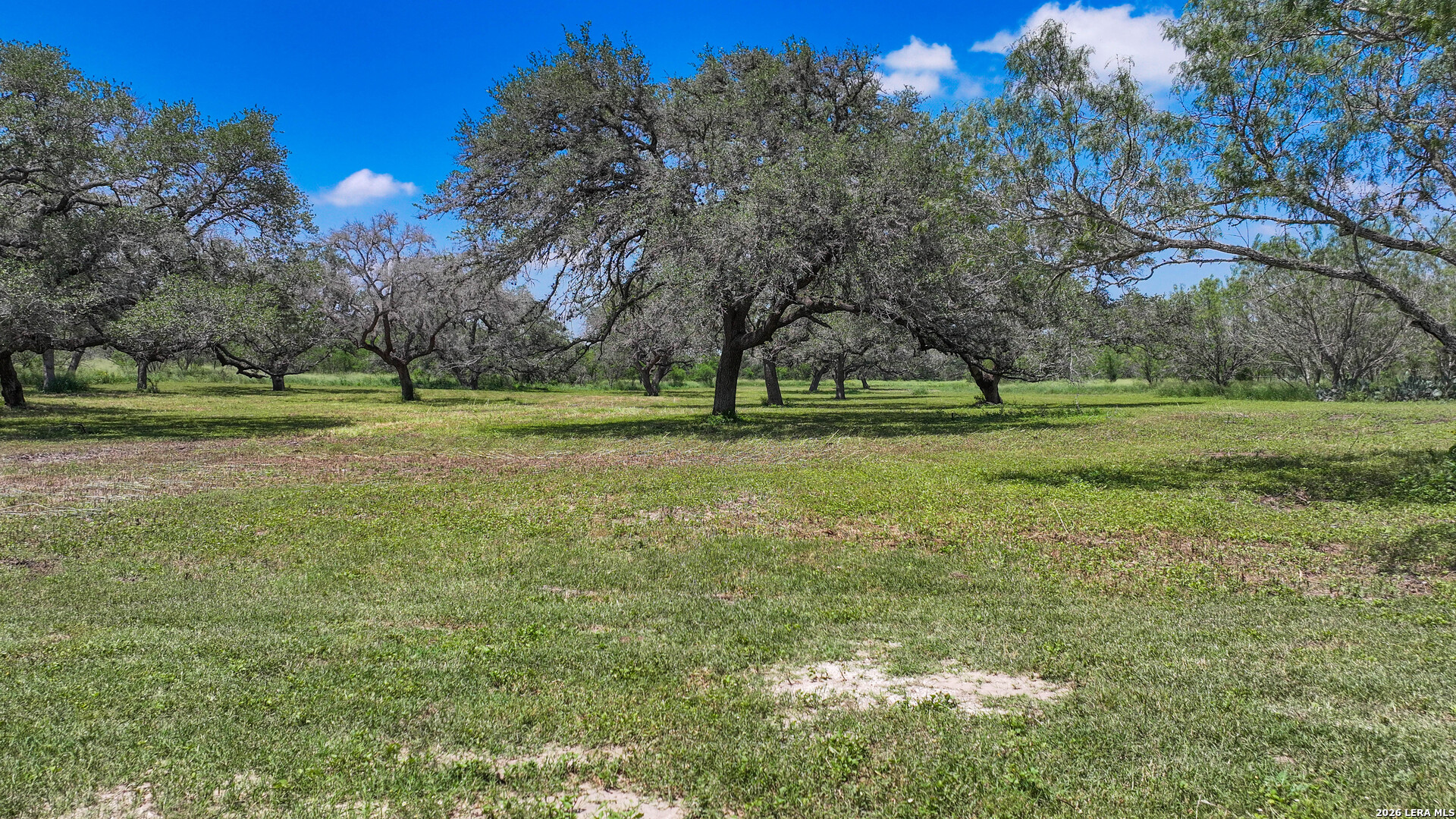 11919 County Road 127 Kenedy TX 78119