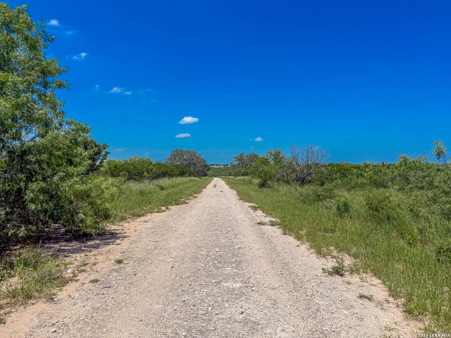 11919 County Road 127 Kenedy TX 78119