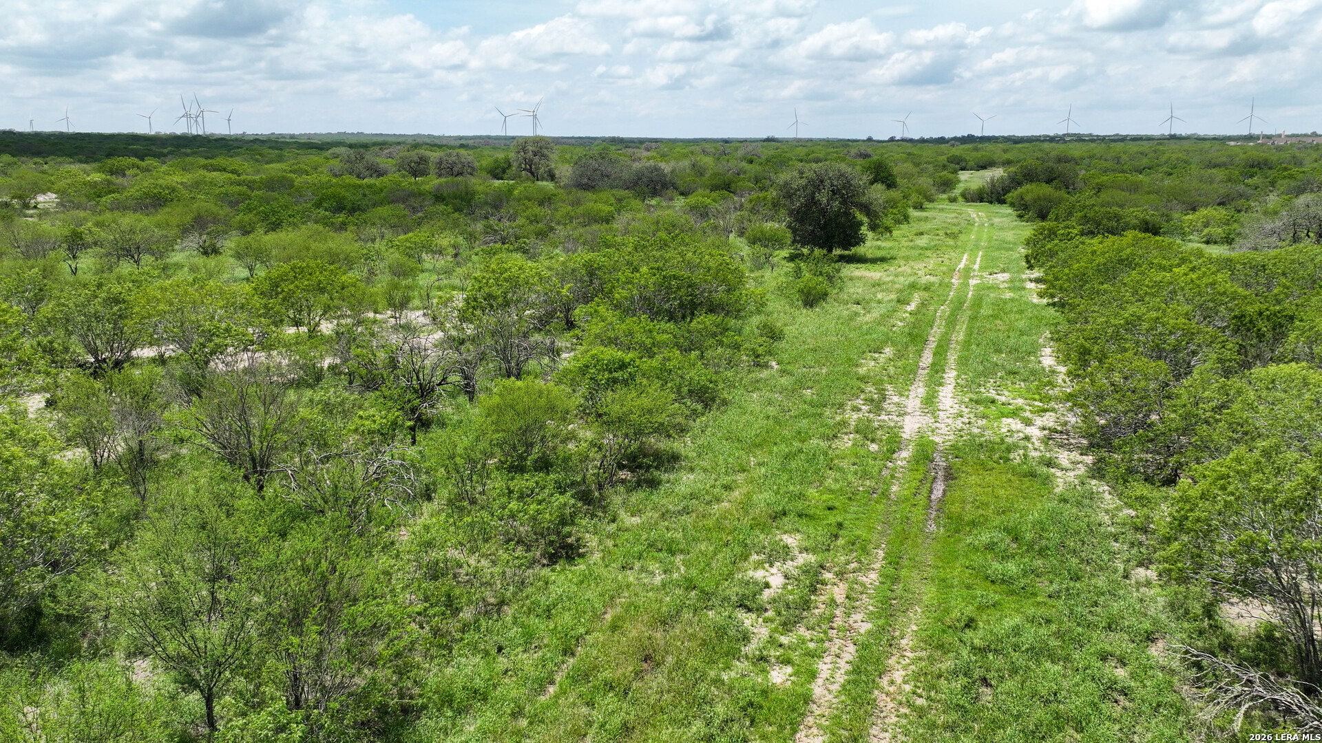 11919 County Road 127 Kenedy TX 78119