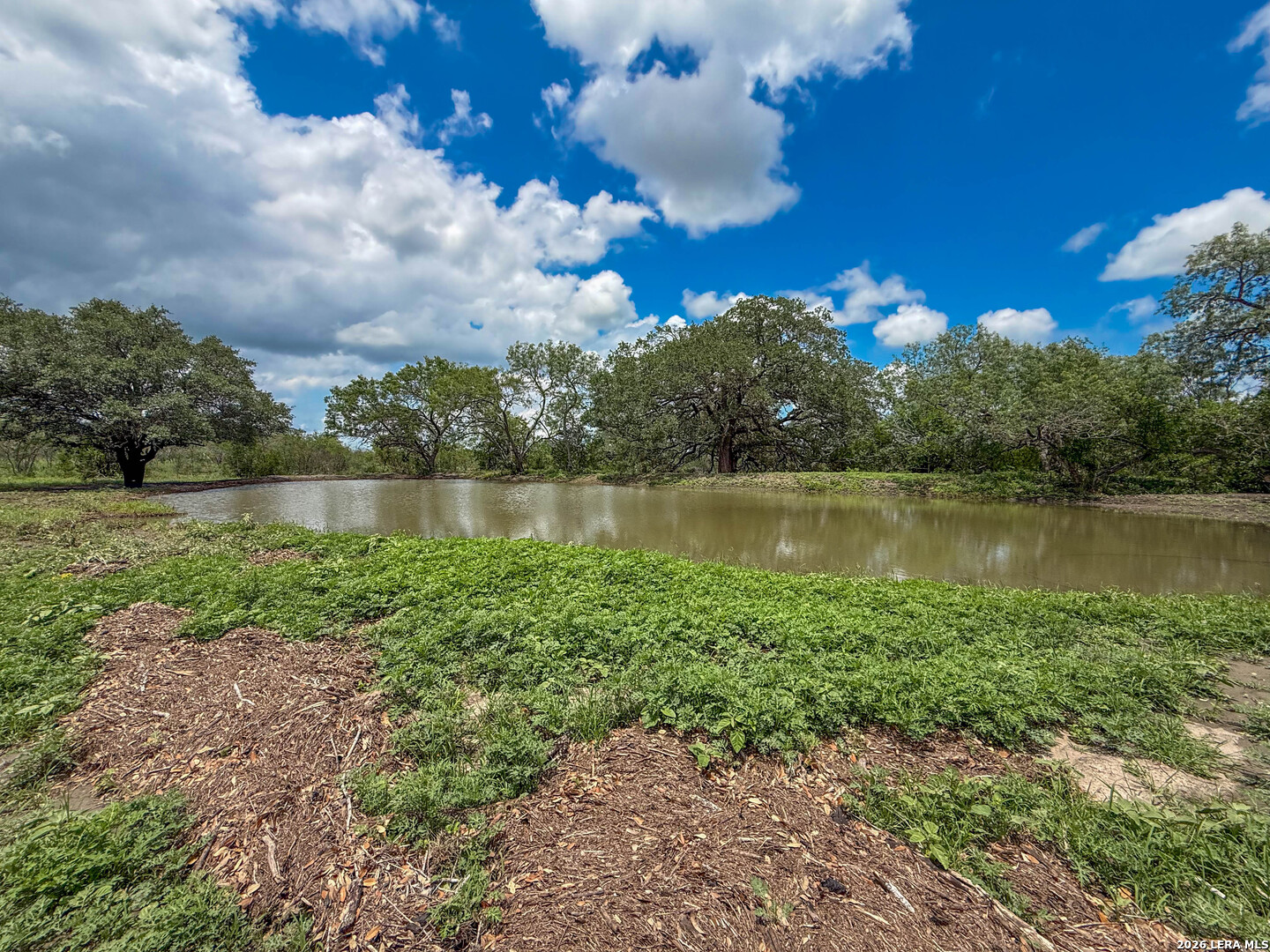 11919 County Road 127 Kenedy TX 78119