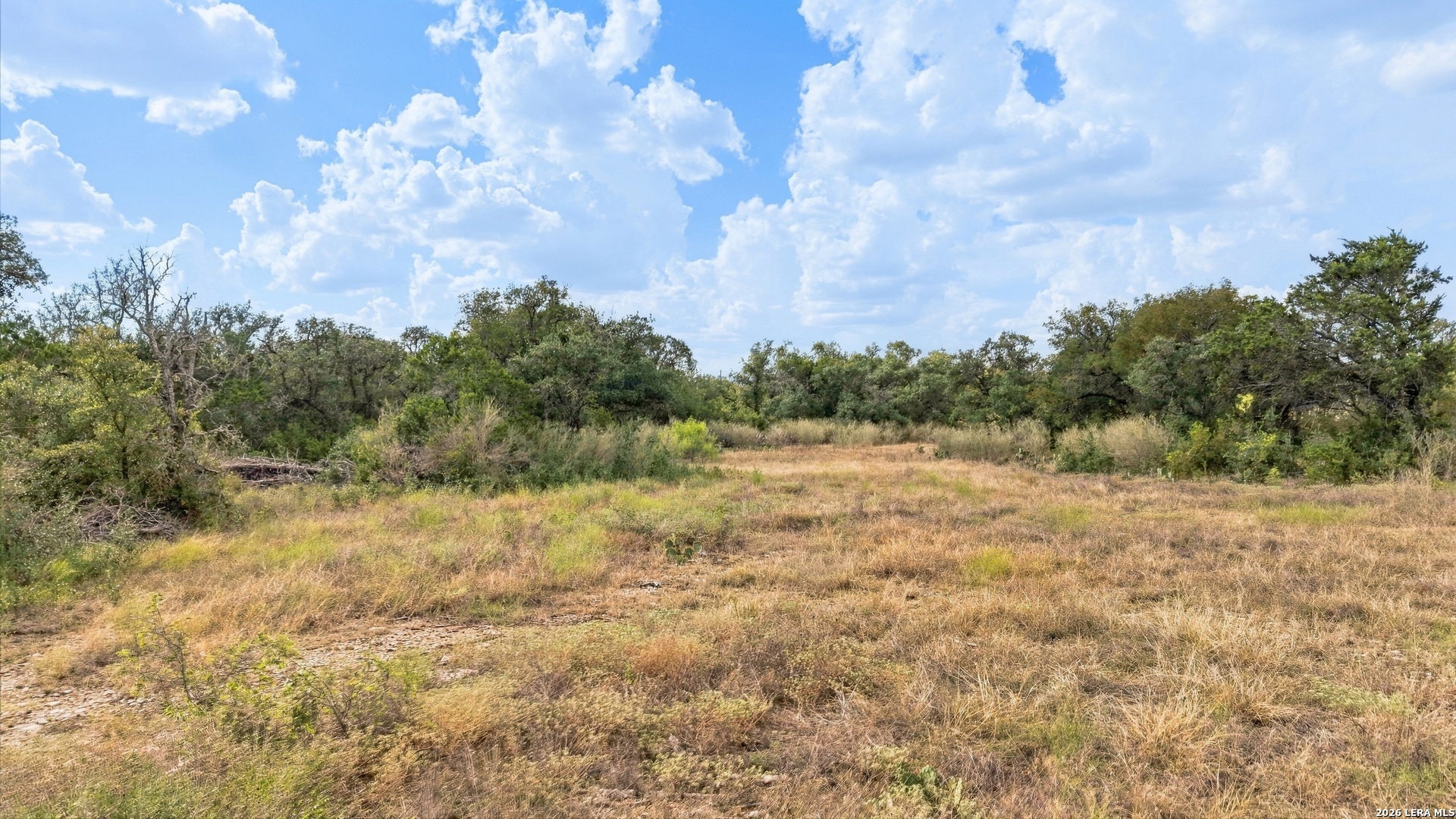 540 Private Road 233 Hondo TX 78861
