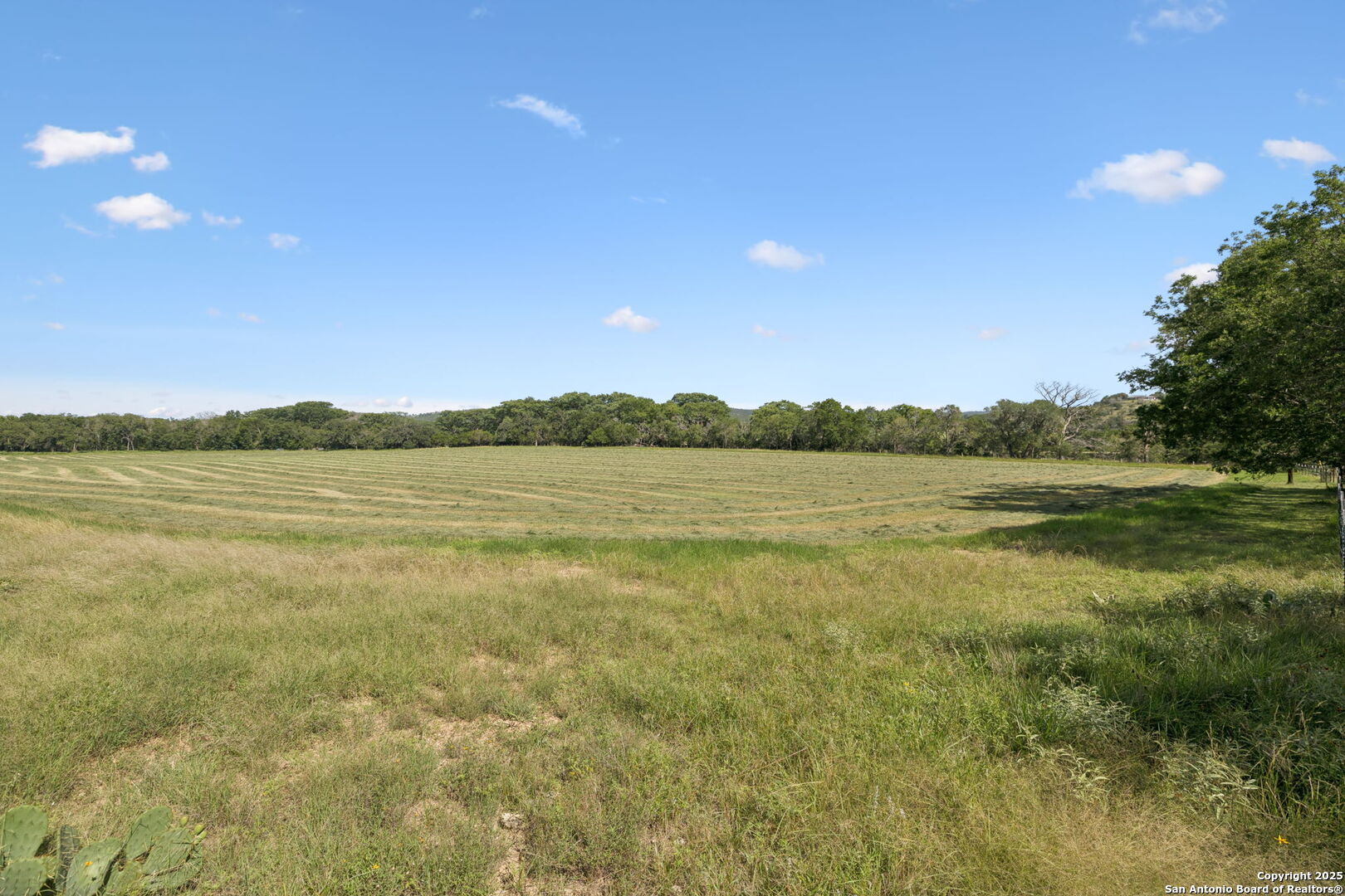 1078 Fm 480 Center Point TX 78010