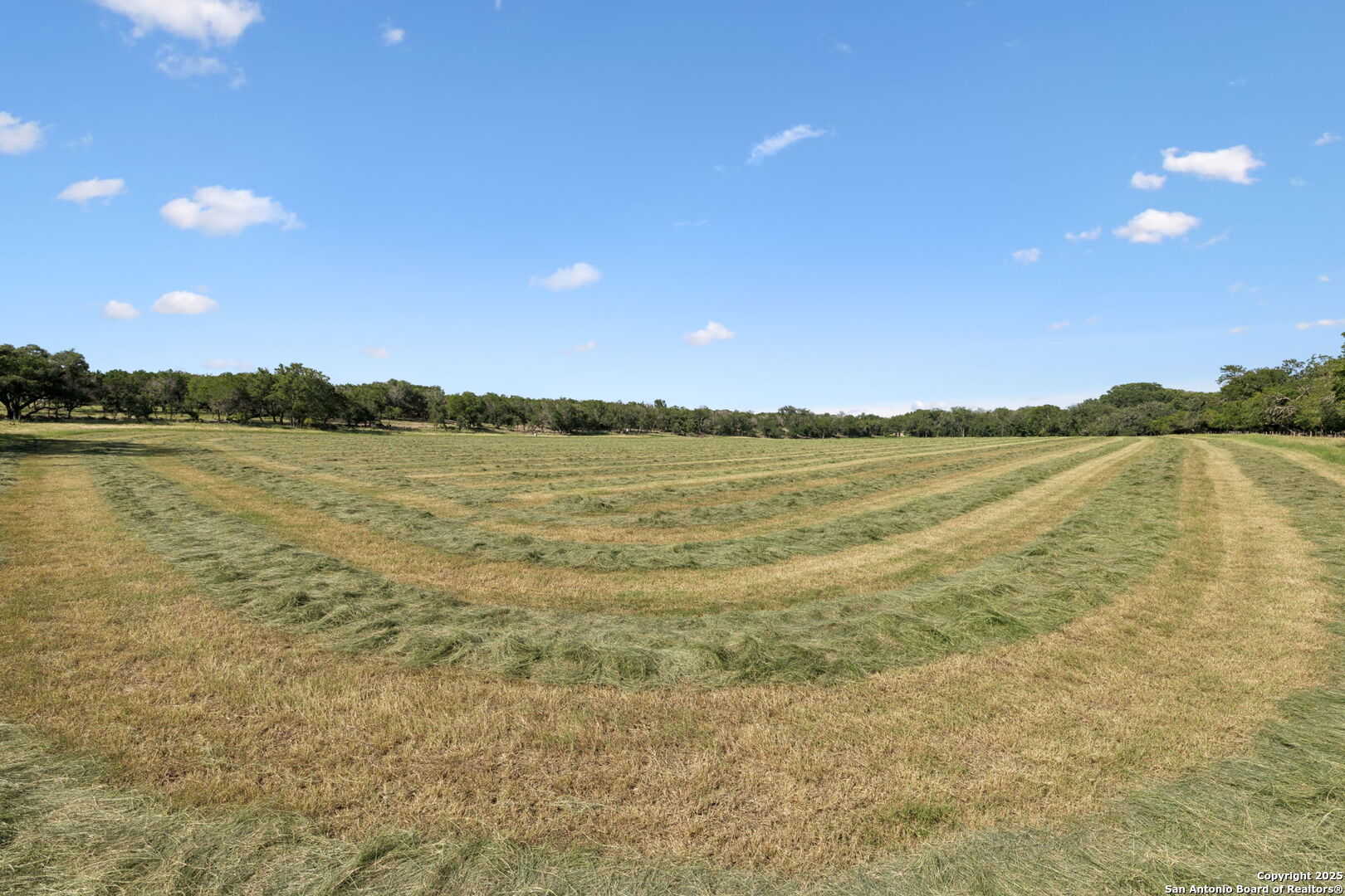 1078 Fm 480 Center Point TX 78010