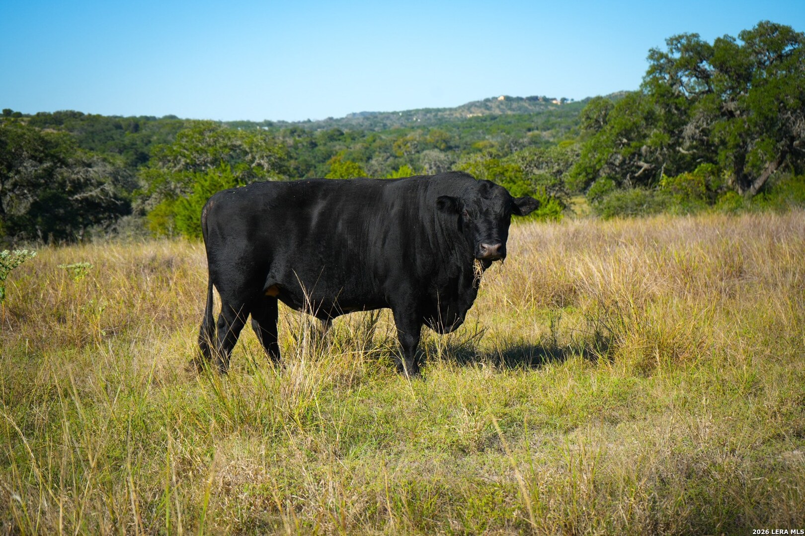 507 Upper Sisterdale Road Boerne TX 78006