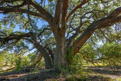 507 Upper Sisterdale Road Boerne TX 78006