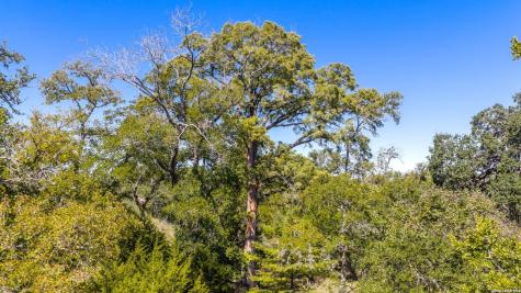 507 Upper Sisterdale Road Boerne TX 78006