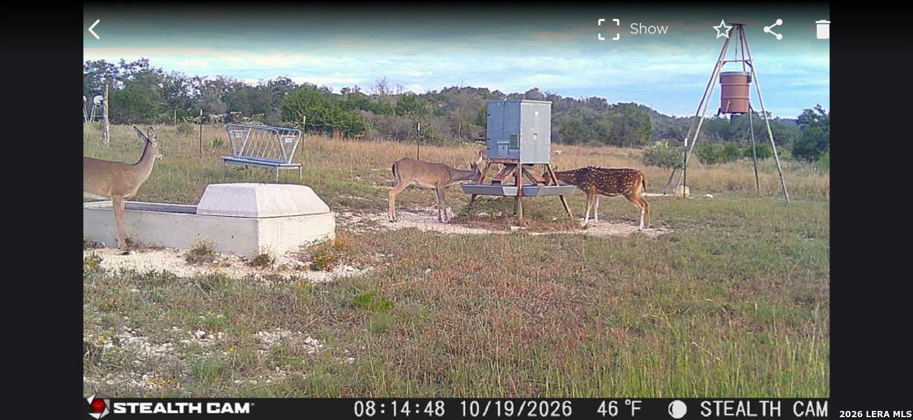 507 Upper Sisterdale Road Boerne TX 78006