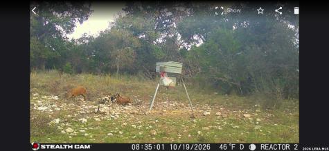 507 Upper Sisterdale Road Boerne TX 78006