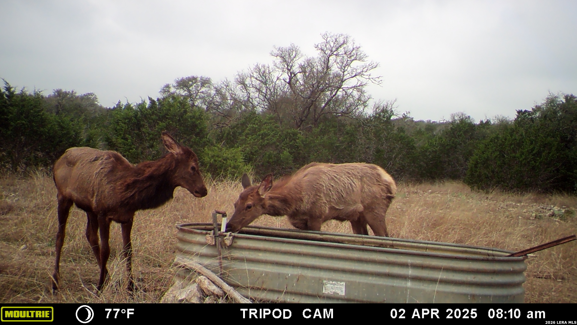 11695 County Road 350 Barksdale TX 78828